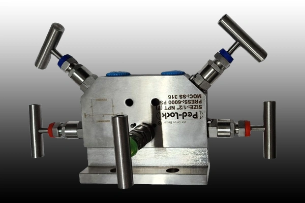 Manifolds Valves Manufacturer in Haryana