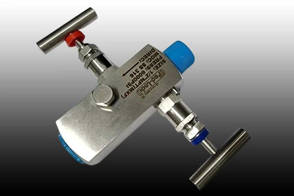 Manifolds Valves Manufacturer in Telangana