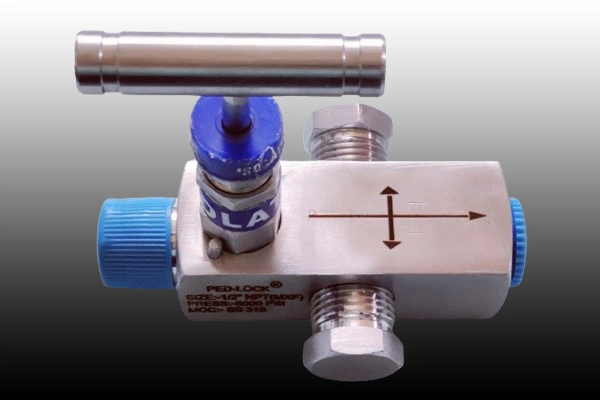 Manifolds Valves Manufacturer in Rajasthan