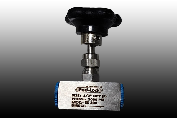 Needle Valve Manufacturer in Haryana