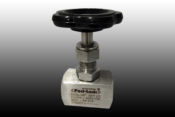 Needle Valve Manufacturer in Goa