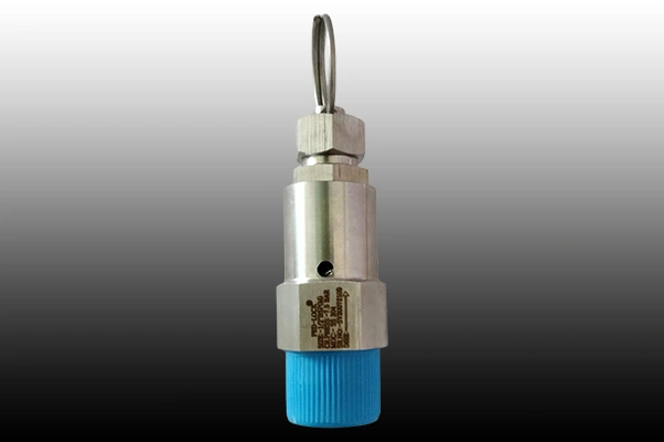 Safety Valve Manufacturer in Gujarat