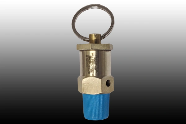 Safety Valve Manufacturer in Himachal Pradesh