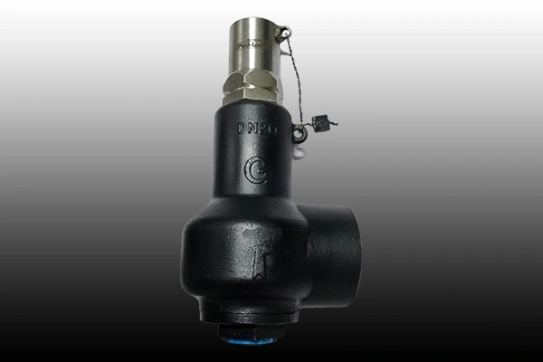 Safety Valves MAnufacturer in India
