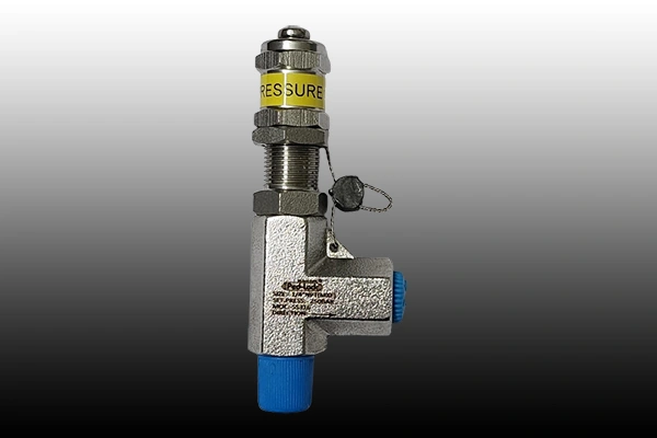 Safety Valve Manufacturer in Chattishgarh