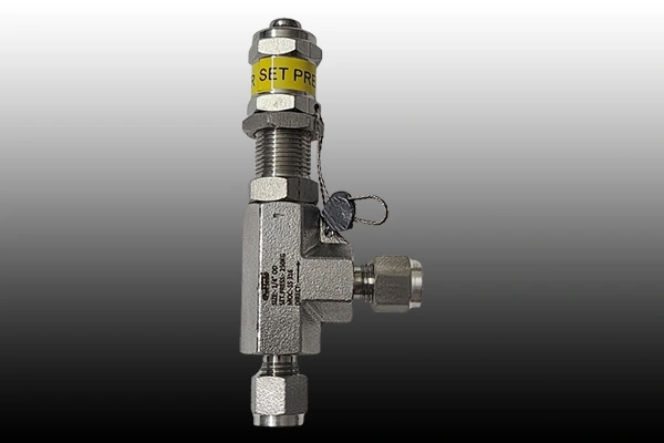 Safety Valve Manufacturer in Delhi